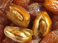منتج تمر 13